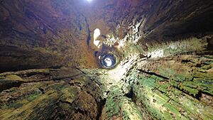 Inside View Amakama living Tree with a Wooden Cave in Abia State, Nigeria