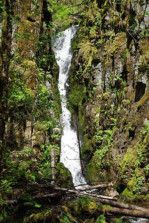 Ki-a-Kuts Falls vertical 1