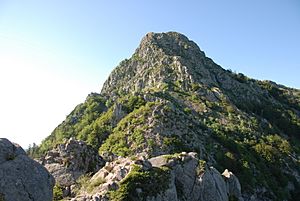 Les agudes