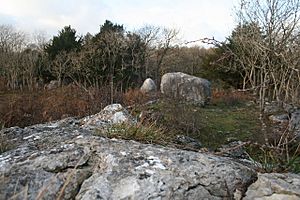 Limestone boulders, Warton Crag - geograph.org.uk - 1047895.jpg