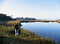 Little Talbot Island - Myrtle Creek