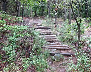 M&M trail on Gap Mountain