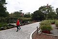 MX TV JARDÍN BOTÁNICO DEL BOSQUE DE CHAPULTEPEC - 51224163890