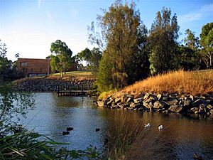 Monash University lake