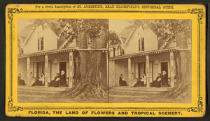 Mrs. H.B. Stowe's Place at Mandarin, on St. Johns River, from Robert N. Dennis collection of stereoscopic views