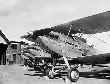 No. 1 Squadron RAAF Demon (AWM P00448.130)