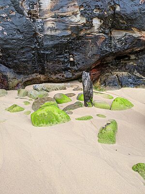North Curl Curl Beach 2021