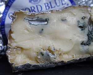 Oxford Blue cheese 1