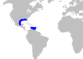 Oxynotus caribbaeus distmap