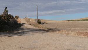 Palmer site (Merrick-Howard counties, Nebraska) (3)
