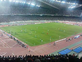 Panathinaikos Inter CL2008 09 b.jpg