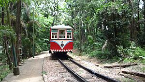 Parque Portugal tramway (4)