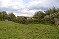 Pitsea Marsh 2