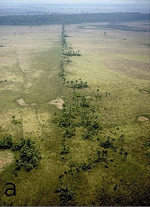 Pre-Columbian man-made causeway in Llanos de Moxos