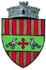 Coat of arms of Drăgușeni
