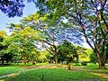 Ramna park, Dhaka, Bangladesh 