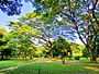 Ramna park, Dhaka, Bangladesh .jpg