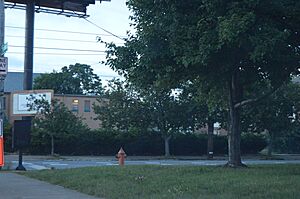 Rauchfuss Houses site
