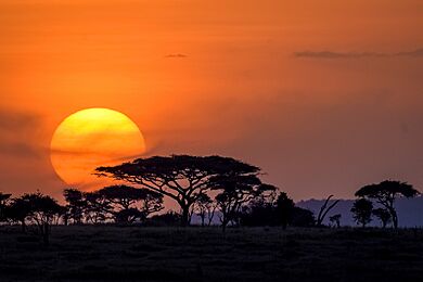 Serengeti sunset-1001