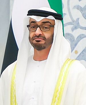 Sheikh Mohamed bin Zayed.jpg