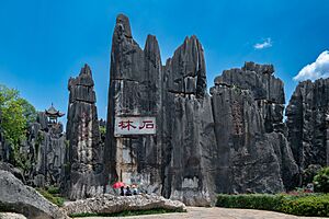 Shilin, Yunnan 24740