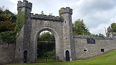 Entrance gate to an Irish castle
