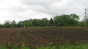 Snag Creek Site