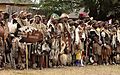 South africa - zulu reed dance ceremony (6478982761)