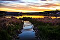 Spectacular sunset at a pond in 100 Mile House (8467187208)