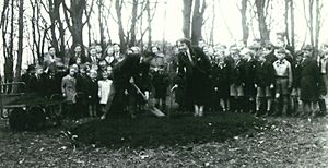 Spiers Coronation Garden Planting 1953