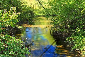 Spring Creek (White Deer Hole Creek)