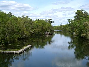 St Marks River at Newport, Florida