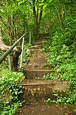 Stairs on the Wyndcliff (9355)