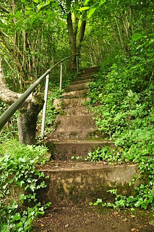 Stairs on the Wyndcliff (9355)