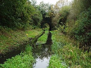 Stanleys Bridge Kidwelly Canal