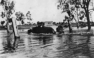 StateLibQld 1 44439 Flooded Dogwood Creek, Miles, Queensland, 1930s