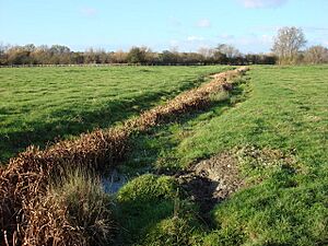 Stream, Sudbury common lands - geograph.org.uk - 626759