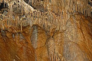 Treak Cliff Cavern - interior - Andy Mabbett - 29
