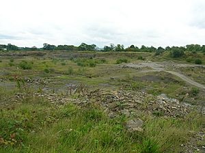 Trearne quarry north