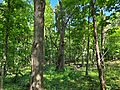 University of Wisconsin–Madison Arboretum - nest box