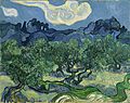 Van Gogh The Olive Trees.