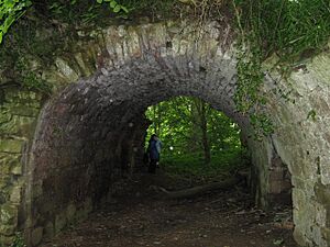 Vaulted entrance to Yester Castle - geograph.org.uk - 873903