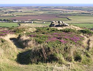 View south from Carn Brea beacon, West Penwith - geograph.org.uk - 51844