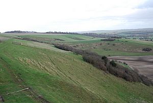 View towards Gallows Hill from Woodlands Down - geograph.org.uk - 338852.jpg
