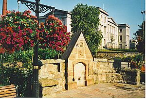 Well of Spa - geograph.org.uk - 258202