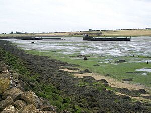 Wrecks in Bedlams Bottoms - geograph.org.uk - 1118021