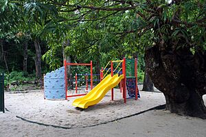 Yam Island campus of Tagai State College 07