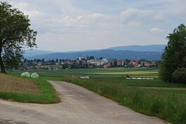 2012-05-26-Seeland (Foto Dietrich Michael Weidmann) 320.JPG
