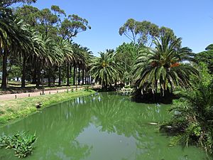 2016 lago del Parque Rodó Montevido Uruguay