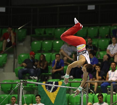 2019-06-27 1st FIG Artistic Gymnastics JWCH Men's All-around competition Subdivision 4 Horizontal bar (Martin Rulsch) 225